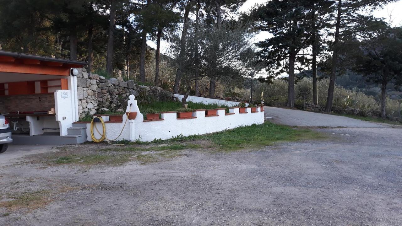 Casa Marcella Apartamento Dorgali Exterior foto